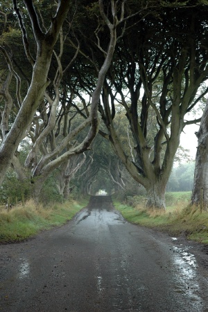 Bregagh Road